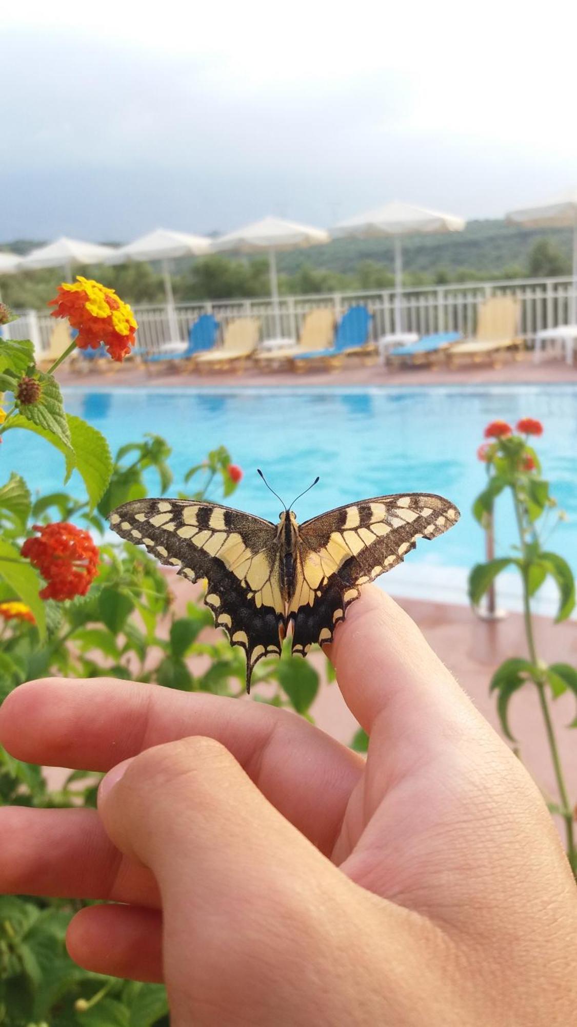 Calamon Apartments Episkopi-Chania Екстериор снимка