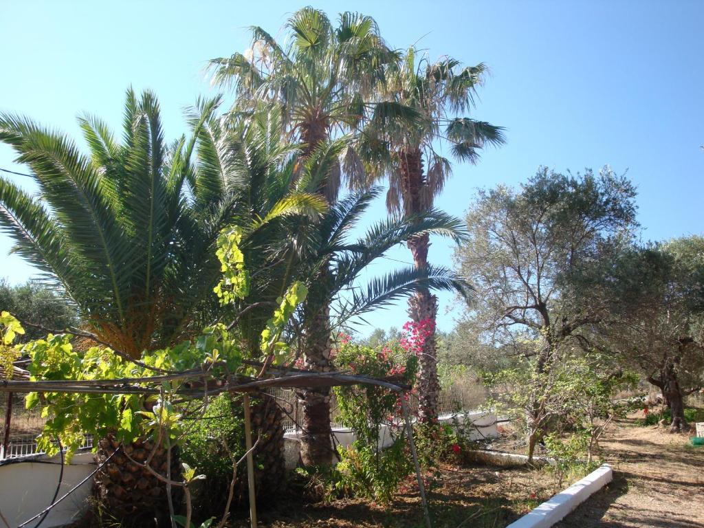 Calamon Apartments Episkopi-Chania Екстериор снимка