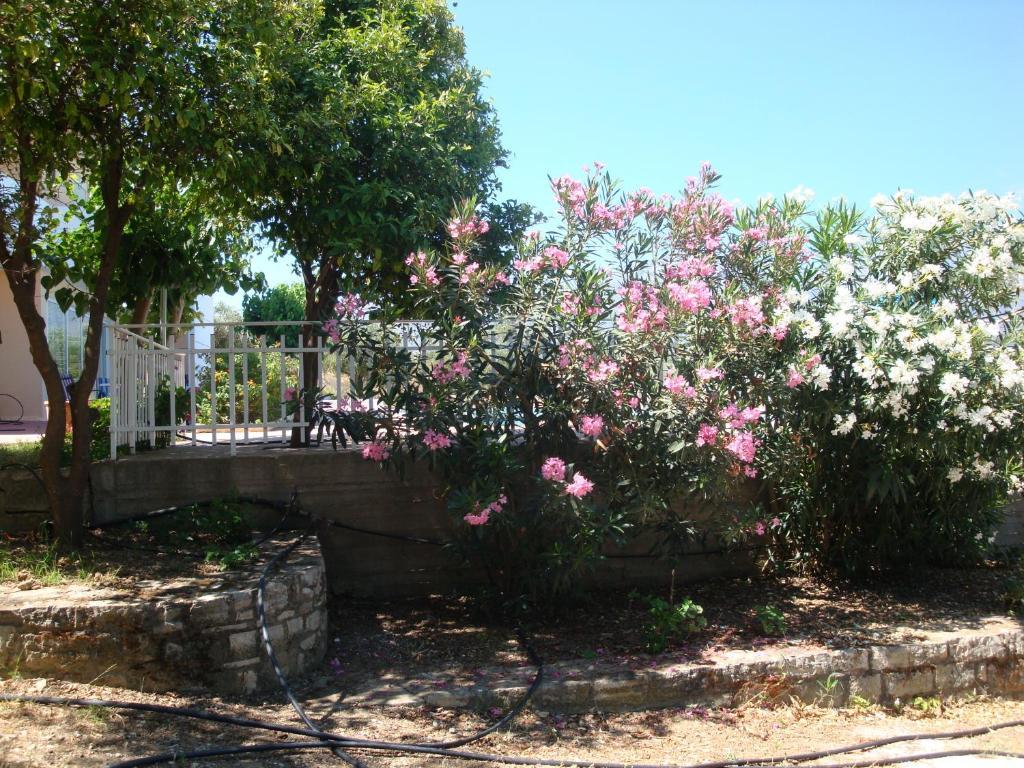 Calamon Apartments Episkopi-Chania Екстериор снимка