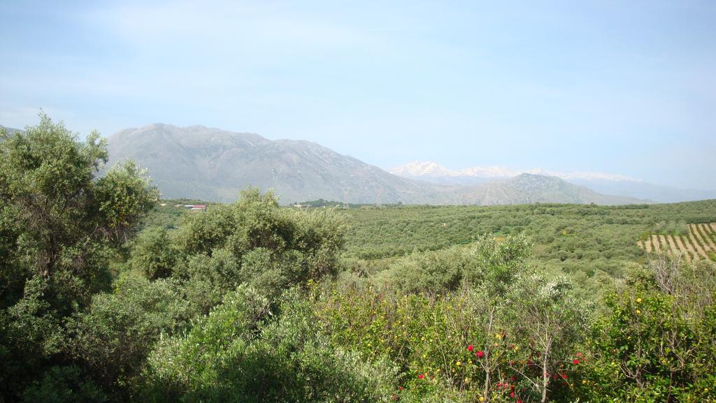 Calamon Apartments Episkopi-Chania Екстериор снимка