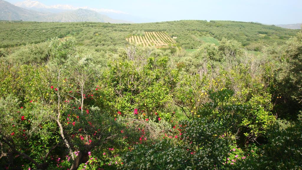 Calamon Apartments Episkopi-Chania Екстериор снимка