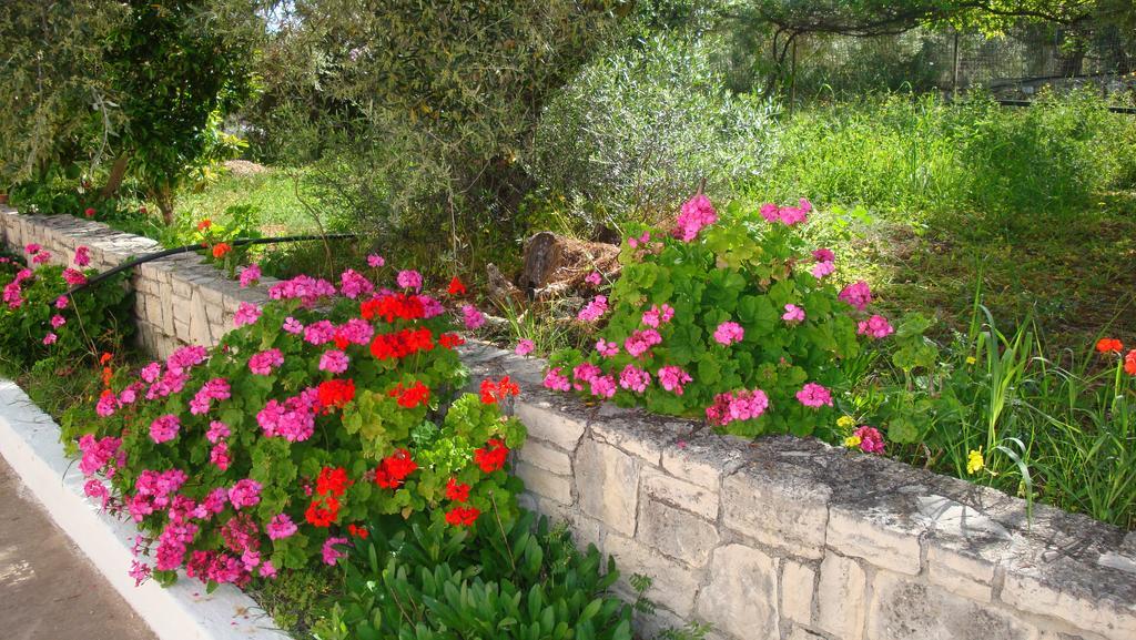 Calamon Apartments Episkopi-Chania Екстериор снимка