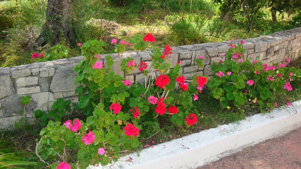 Calamon Apartments Episkopi-Chania Екстериор снимка