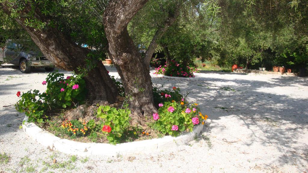 Calamon Apartments Episkopi-Chania Екстериор снимка